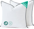 Goose Feather Down Throw Pillow Inserts 22x22 Inch - Set of 2