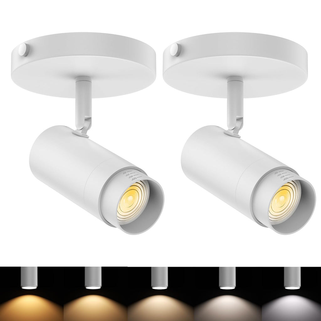 Zoomable Ceiling Spot Lights Indoor Fixtures 15-60° Adjustable Beam Angle, Dimmable 10W Directional Ceiling
