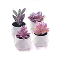 Fake Succulent Plant Set Desk Plants Faux Succulents Pots Mini Purple Decor