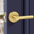Brushed Gold Keyless Passage Door Lever, Heavy Duty Gold Interior Door Handle, Round Non-Locking Door Lock or Closet