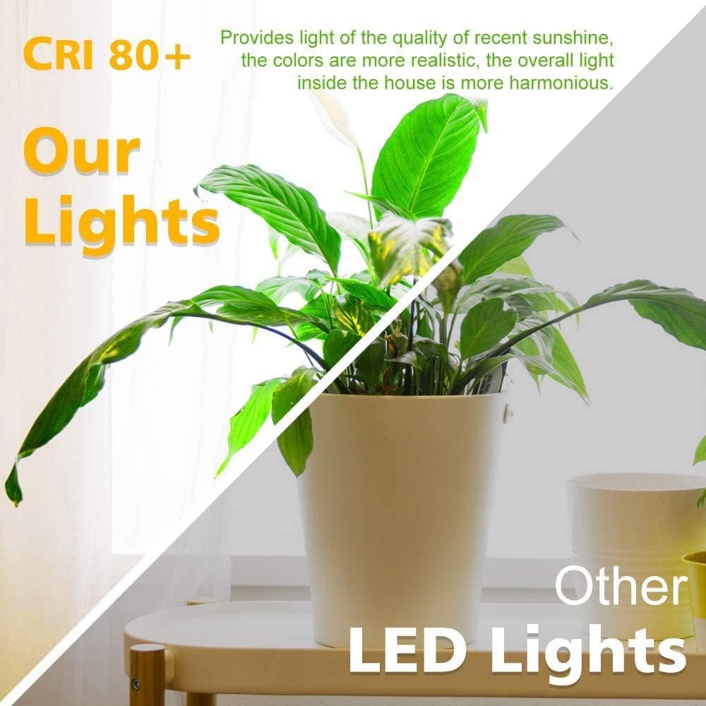 2 Inch LED Downlight, Recessed Lighting Dimmable Ceiling Light, 3W, 3000K Warm White, CRI80 with LED Driver(35W
