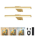 9'' Picture Light for Wall, 5000mAh Rechargeable Wall Lights, 3 Colors, Stepless Dimmable LED Art Painting Light