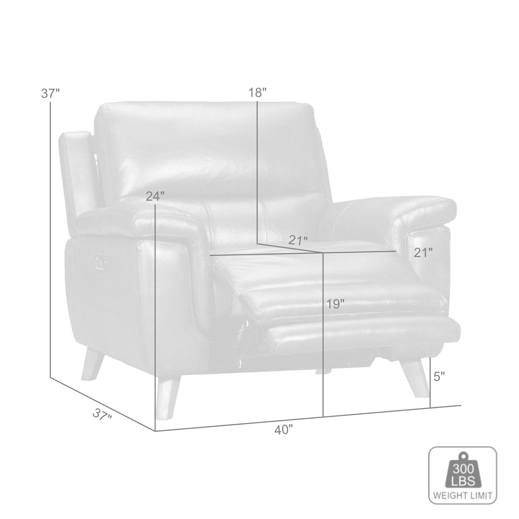 Lizette Contemporary Top Grain Leather Power Reclining Living Room Accent Chair, Dove Grey