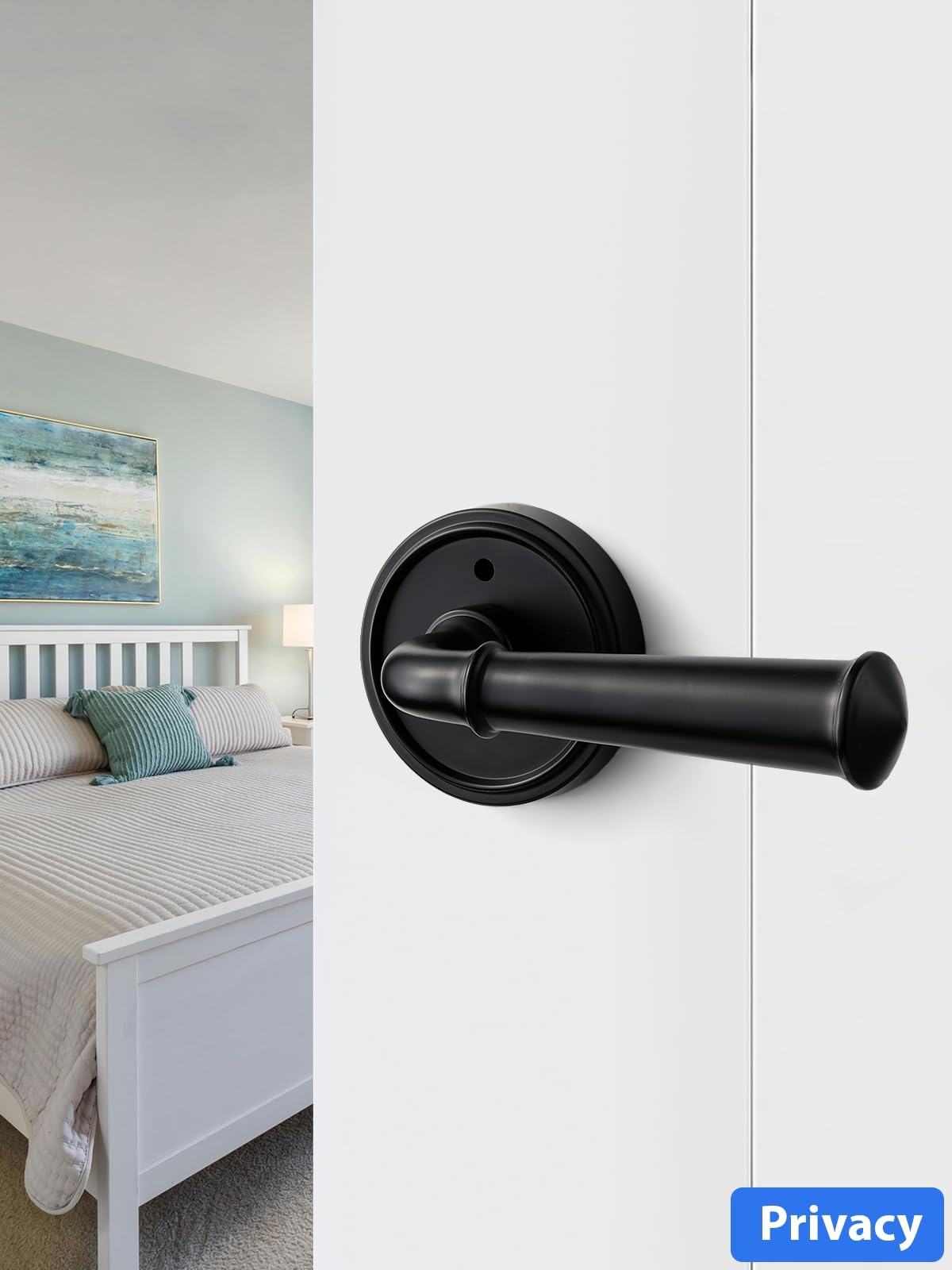 Door Handle Black Privacy Door Lever Black DoorHandle, 1 Pack
