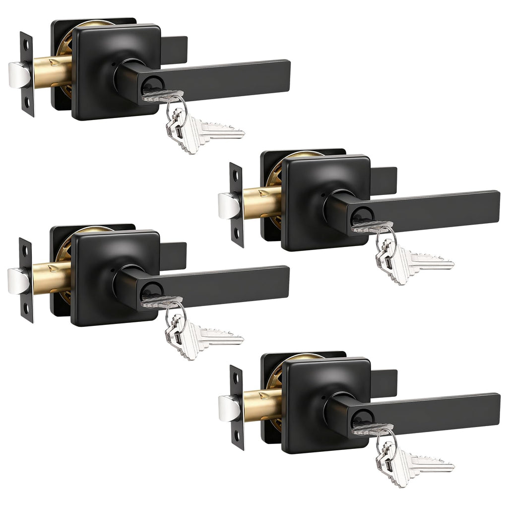 Keyed Alike Entry Door Handles with Lock and Keys, Matte Black Entry Door Lock Sets for Exterior & Interior Doors