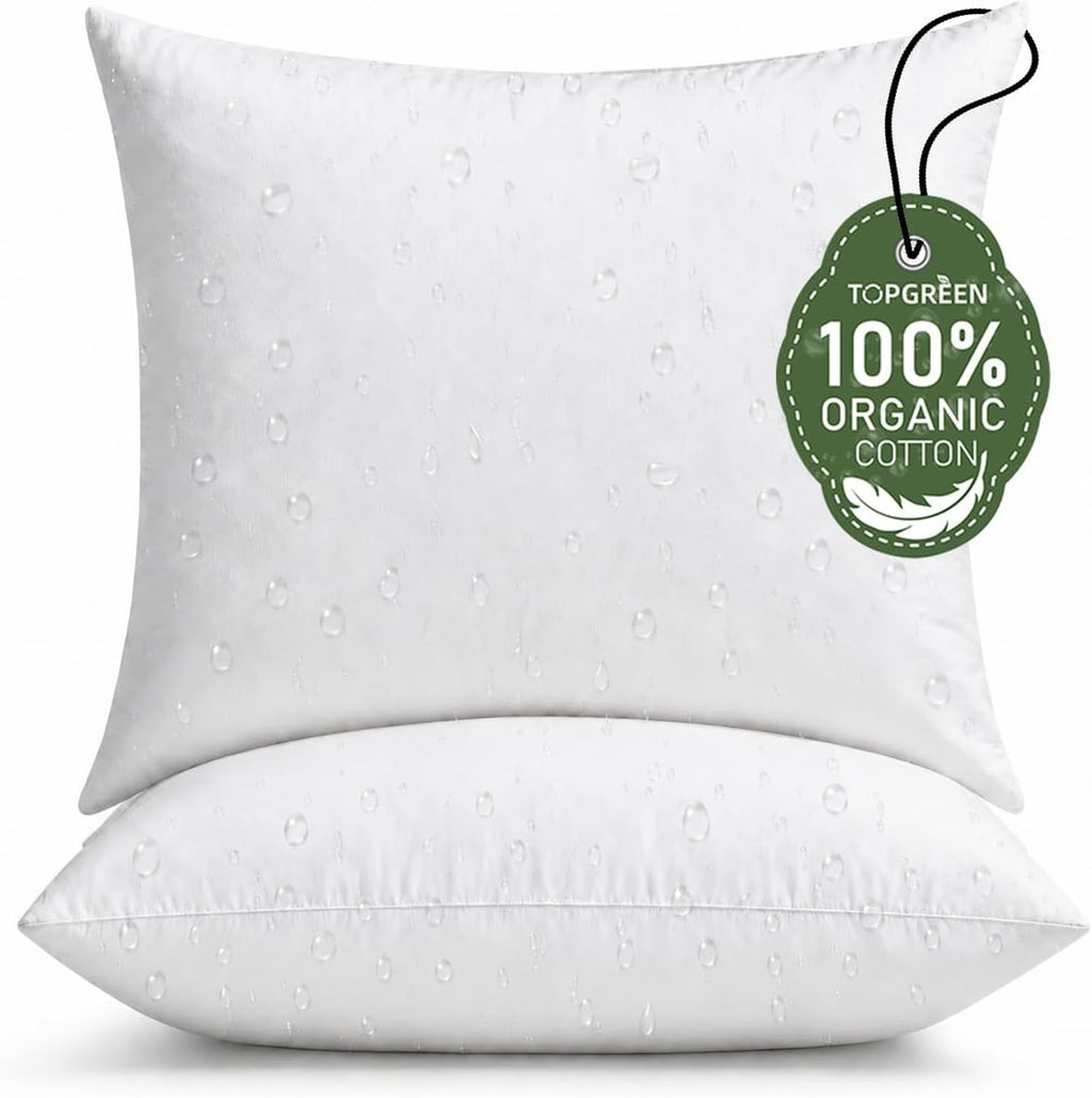 Organic Feathers Down Outdoor Pillow Insert 22x22 - Set of 2