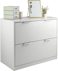 2 Drawer File Cabinet - Wooden Lateral Filing Cabinet with 2 Large Storage Drawers and Adjustable Hanging File Bars