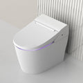 Smart One-Piece Elongated Toilet, Dual Auto Flush, ADA Comfort Height, Heated Seat