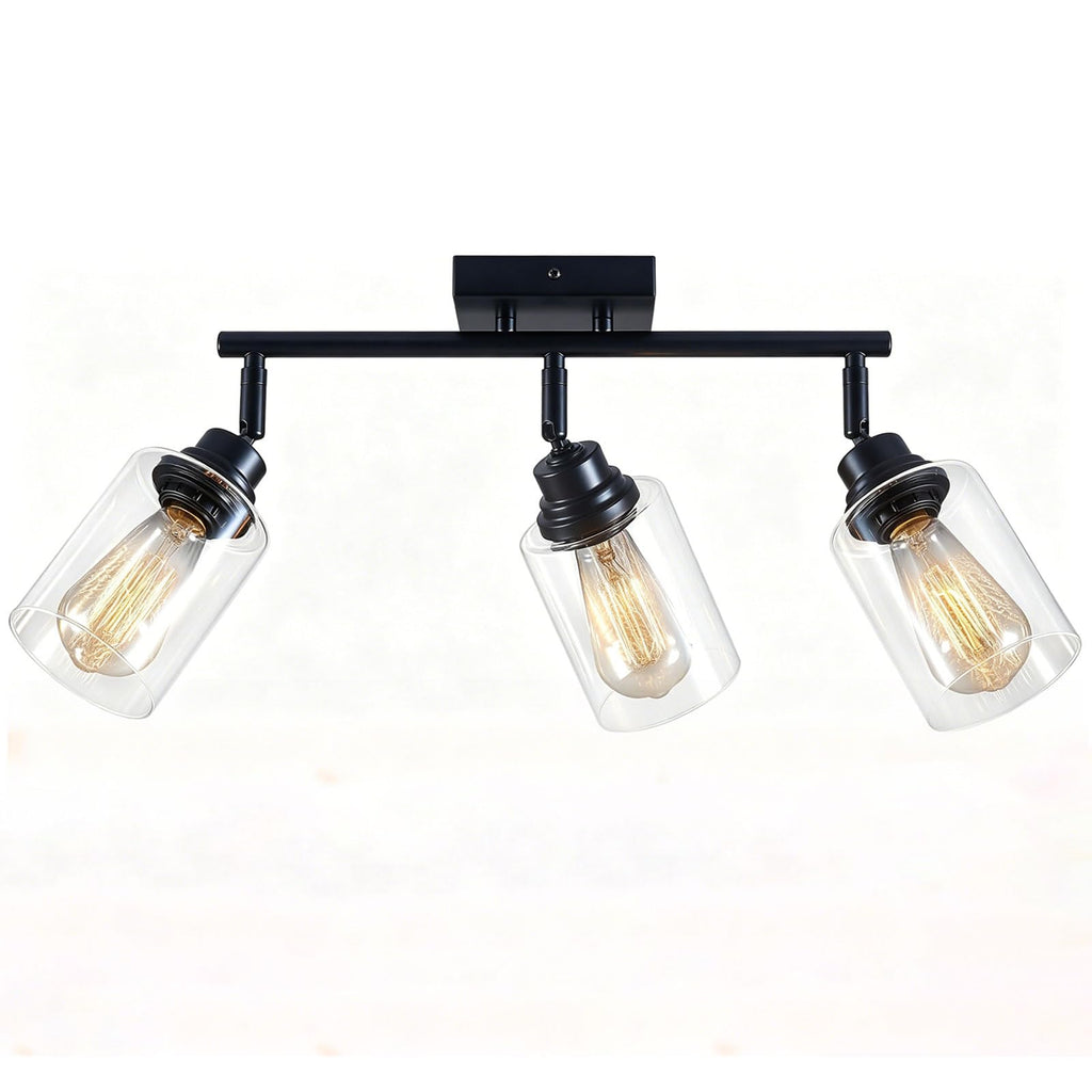 Matte Black Track Lighting Ceiling Mount