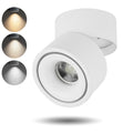 LED Ceiling Spotlight Indoor Directional Lighting Ceiling Light