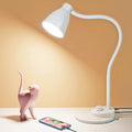 LED Desk Lamp with USB Charging Port, 3 Color Modes Dimmable, White