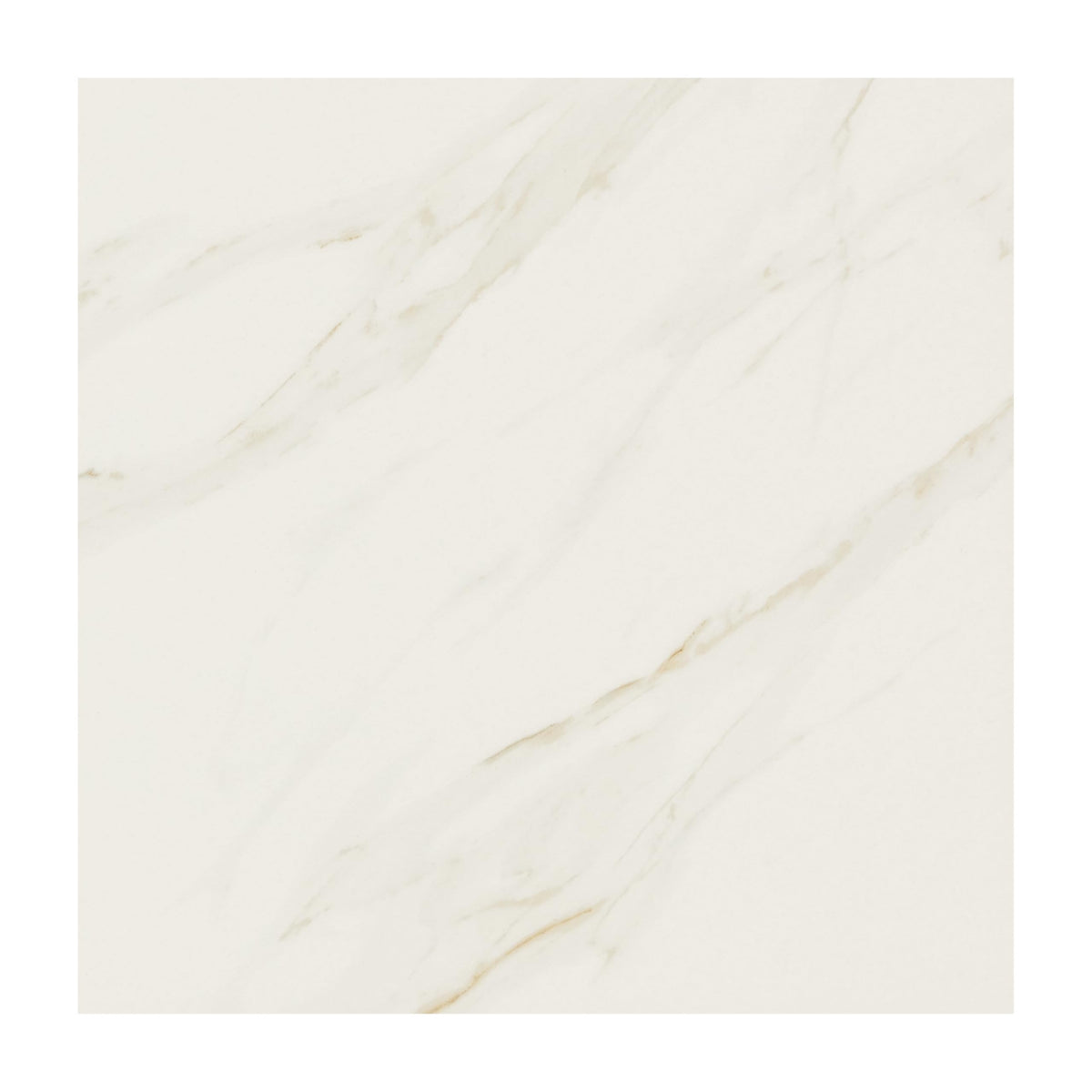 Florentine 12" X 12" Glazed Porcelain Floor Tile in Carrara (13 PC Per Carton) (12.22 SQFT Per Carton)