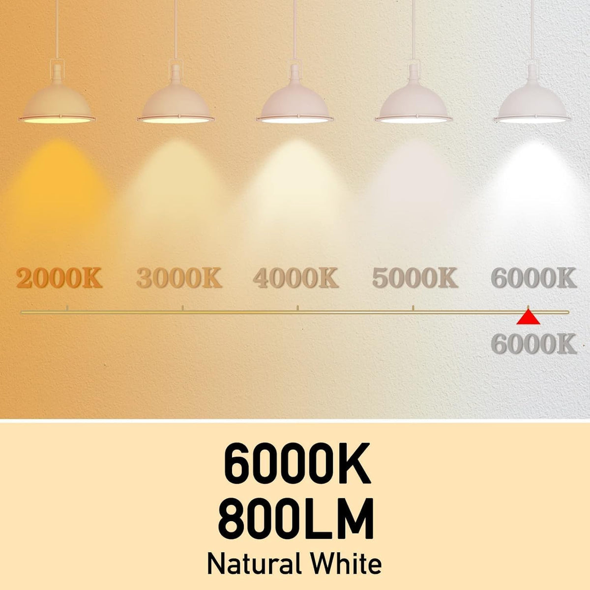 Full Spectrum Light Bulb, 6000K Natural Sunlight Bulbs, 9W 60W Equivalent LED Light Bulb, Natural Light Bulbs A19