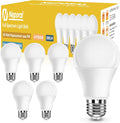 Full Spectrum Light Bulb, 6000K Natural Sunlight Bulbs, 9W 60W Equivalent LED Light Bulb, Natural Light Bulbs A19