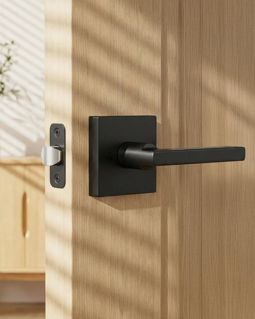 Matte Black Door Handles Passage, Closet & Hallway 5 Pack