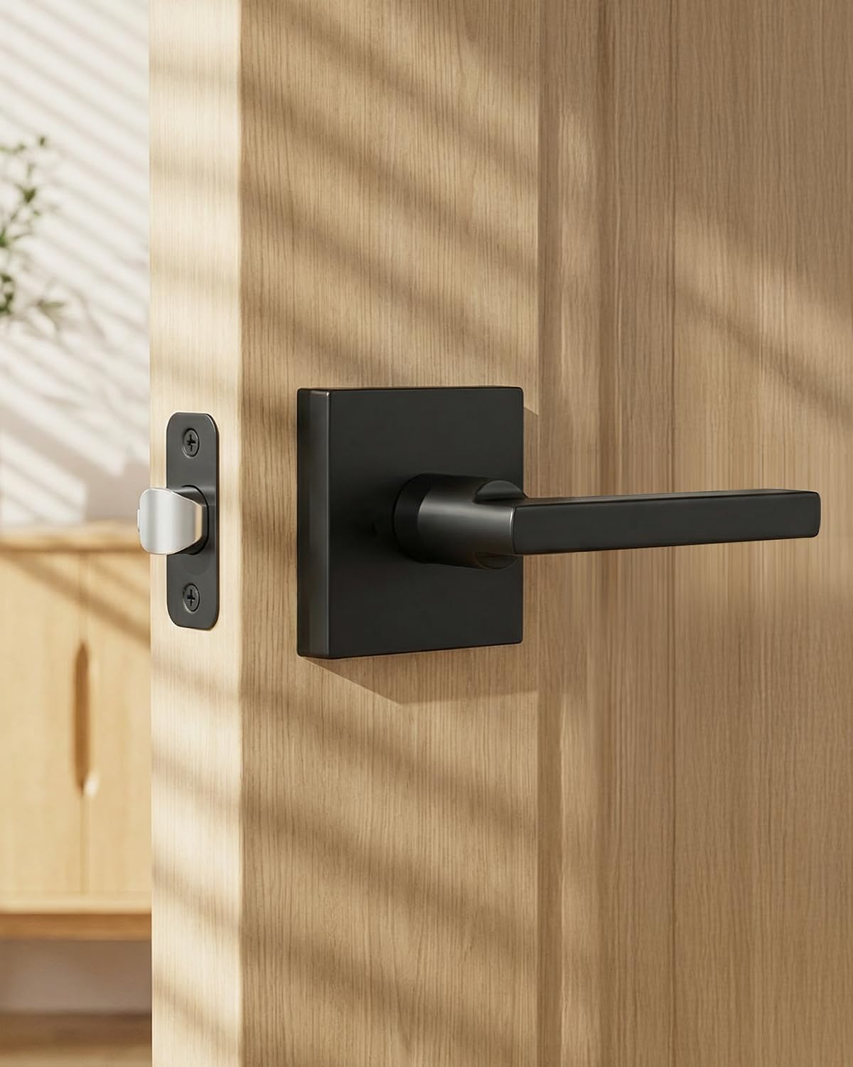 Matte Black Door Handles Passage, Closet & Hallway 5 Pack