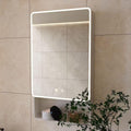 19.69" x 35.43" LED Bathroom Medicine Cabinet, Wall Mounted Mirror Cabinet with Warm LED Light, Anti-Fog Mirror