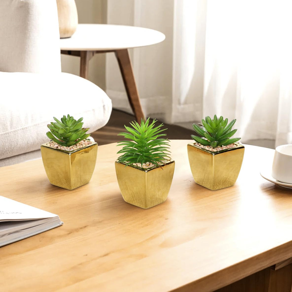 Small Succulents Artificial 3 Pcs Faux Succulents with Gold Pots Mini Fake Succulent Plants Indoor Plant Ceramic Pots