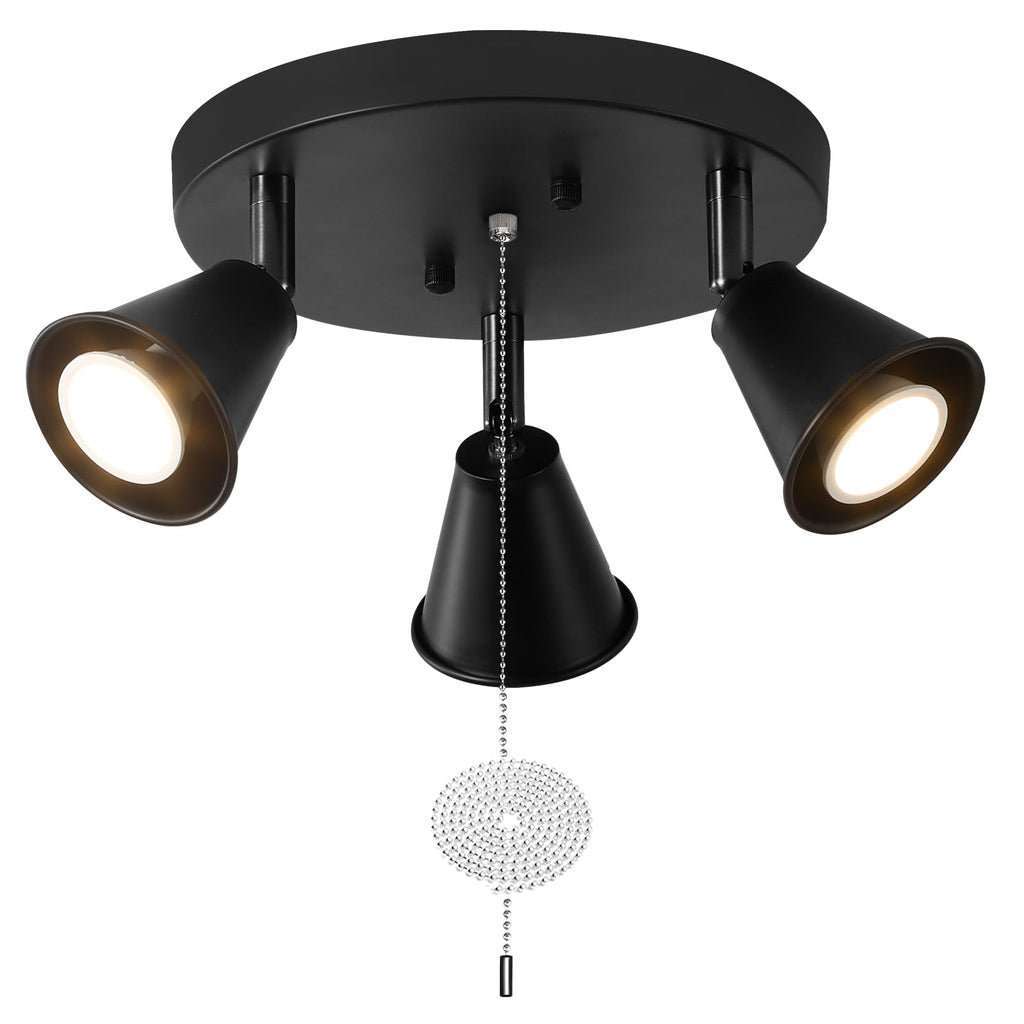 Industrial Directional Track Lighting with Pull Chain On/Off, Black Ceiling Spotlight, Morden Flush Mount