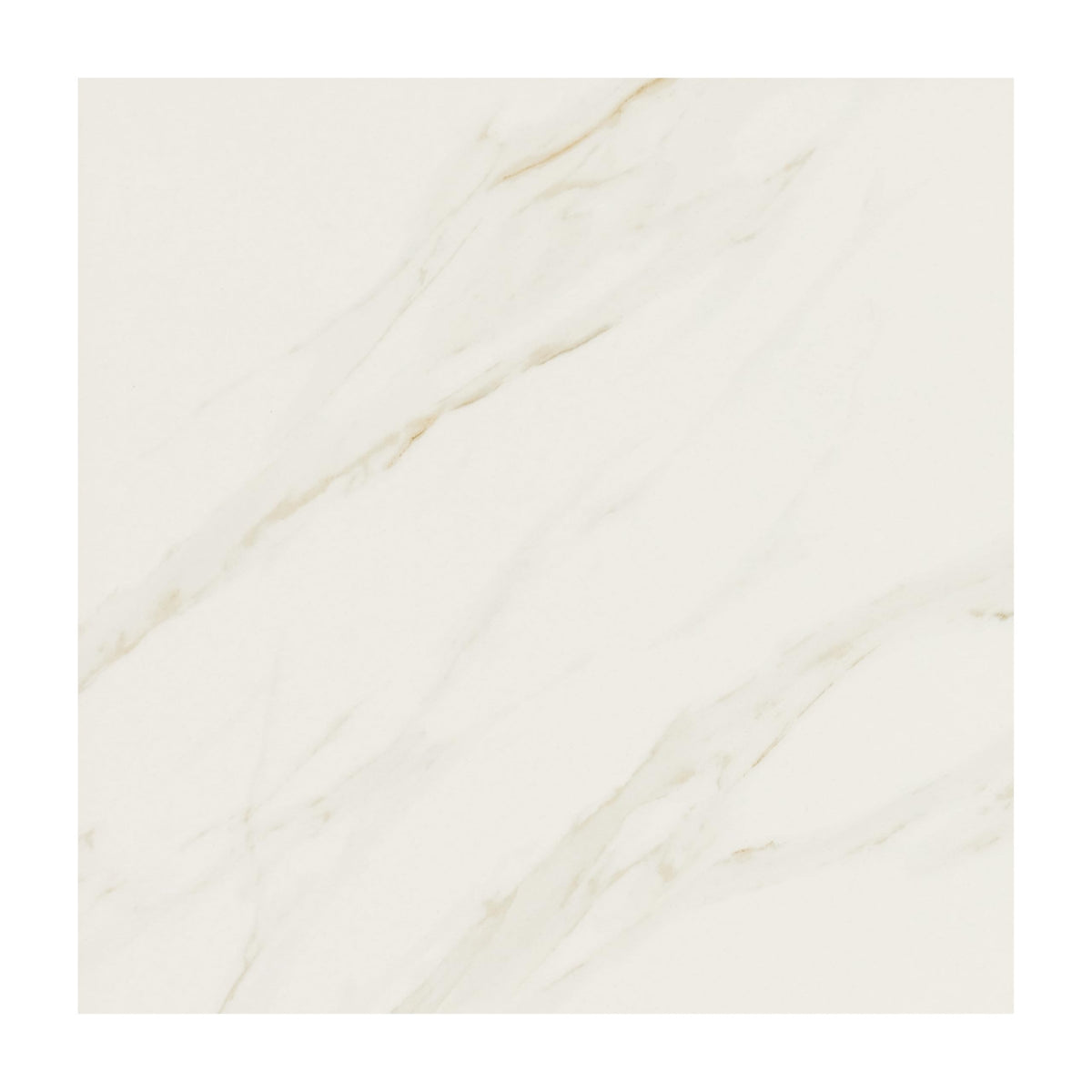 Florentine 12" X 12" Glazed Porcelain Floor Tile in Carrara (13 PC Per Carton) (12.22 SQFT Per Carton)