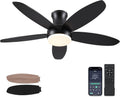 48" Black Outdoor Flush Mount Ceiling Fan with Light & Remote