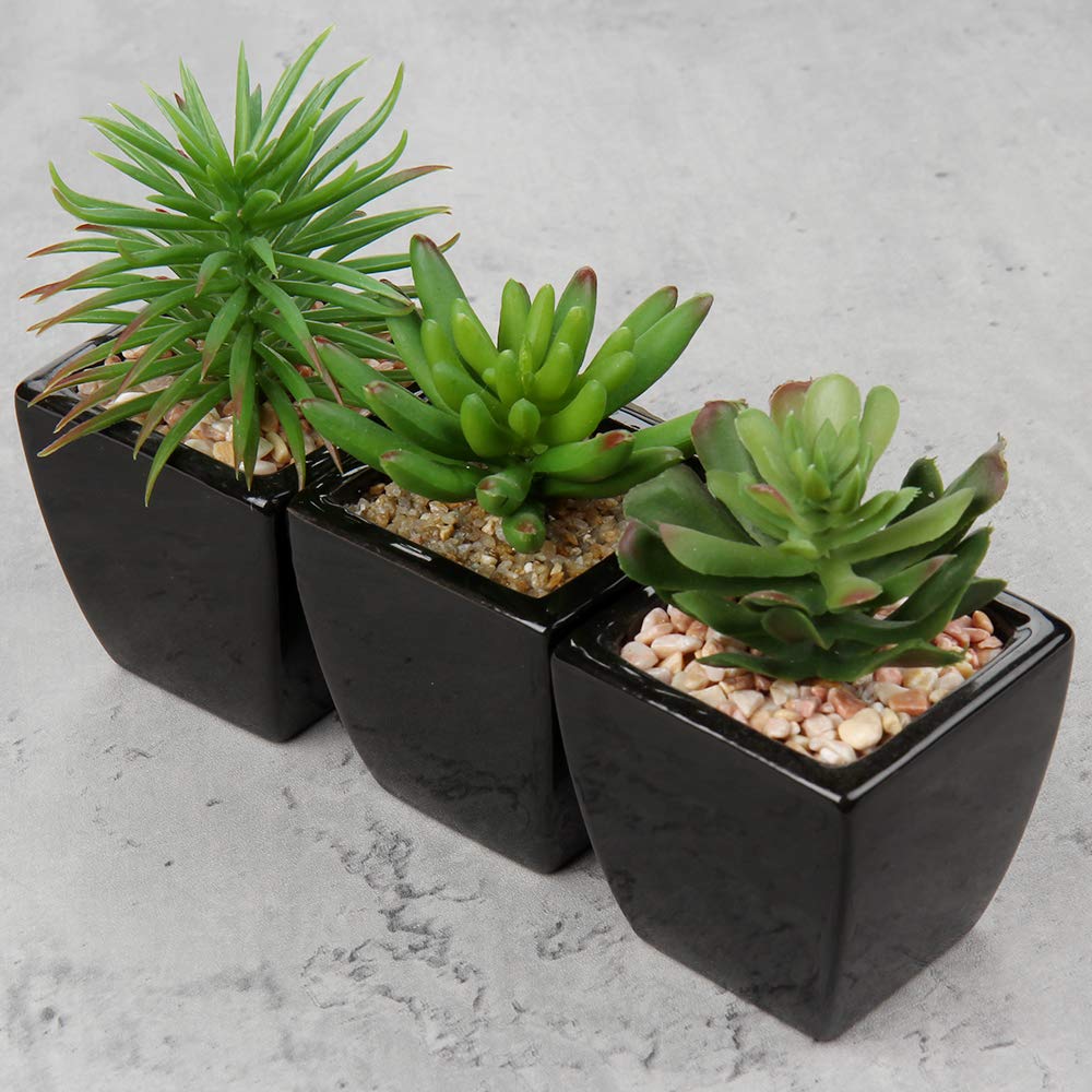 Small Succulents Artificial 3 Pcs Faux Succulents in Pots Fake Succulent Plants with Black Ceramic Pots for Modern