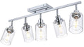 Chrome Track Light Fixture Ceiling Track Lighting Kit with Seeded Glass Track Lighting Heads Ceiling Vanity