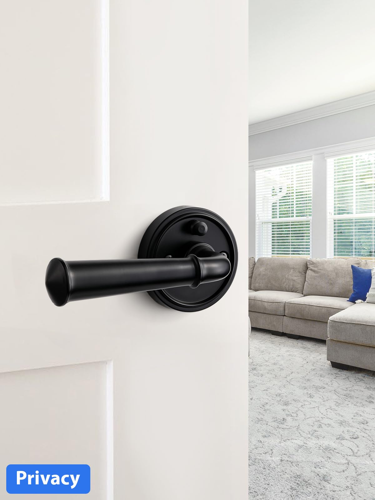 Door Handle Black Privacy Door Lever Black DoorHandle, 1 Pack