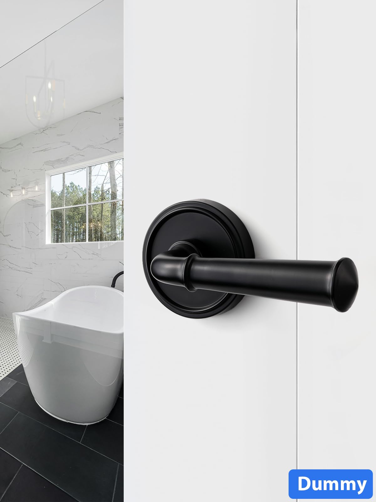 Door Handle Black Double Dummy Door Lever, 1 Pack