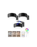 Picture Lights for Wall, 2000mAh Rechargeable Battery Magnetic Poster Lights with 3 Color Temps & 12 RGB, Remote