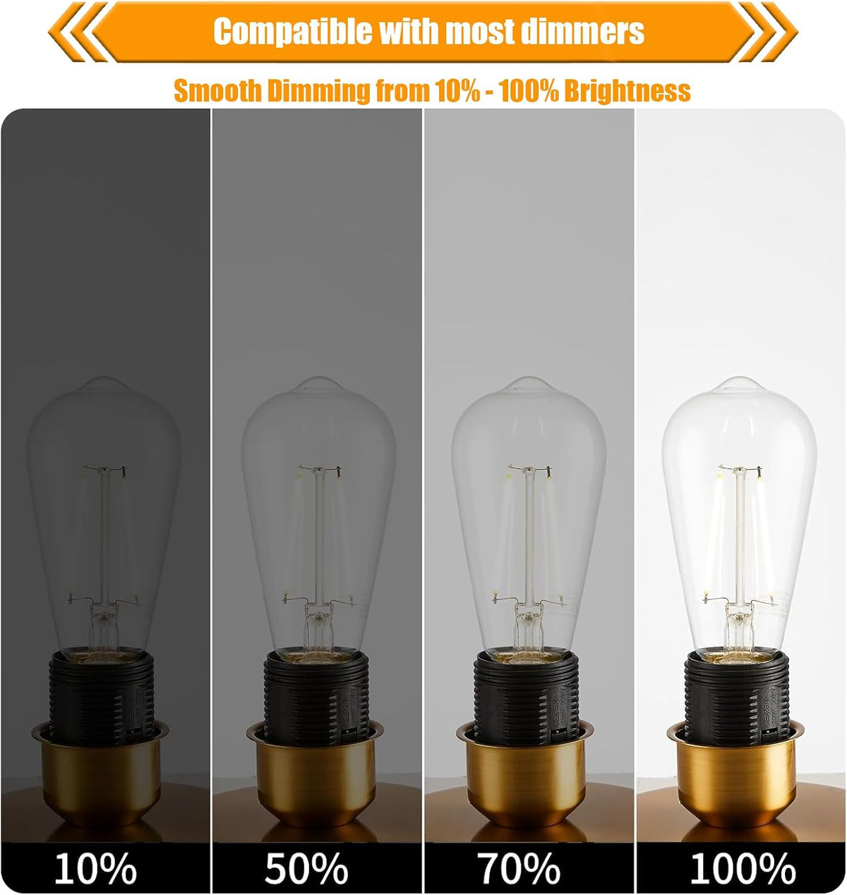 12 Pack Dimmable LED Edison Bulb 40W Equivalent, 5000K Daylight