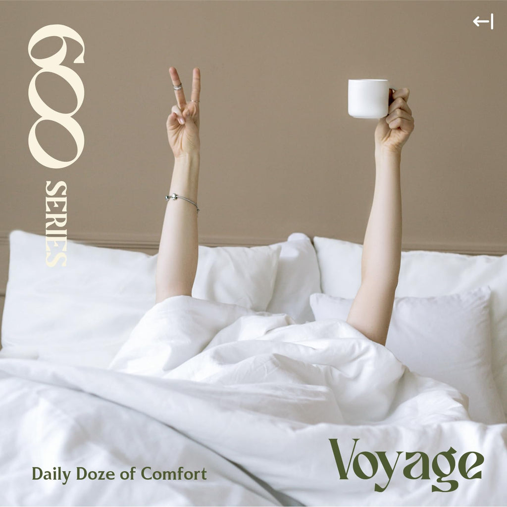 100% Egyptian Cotton Sheets Set - Luxury 600 Series Voyage Collection Egyptian Cotton Sheets (4