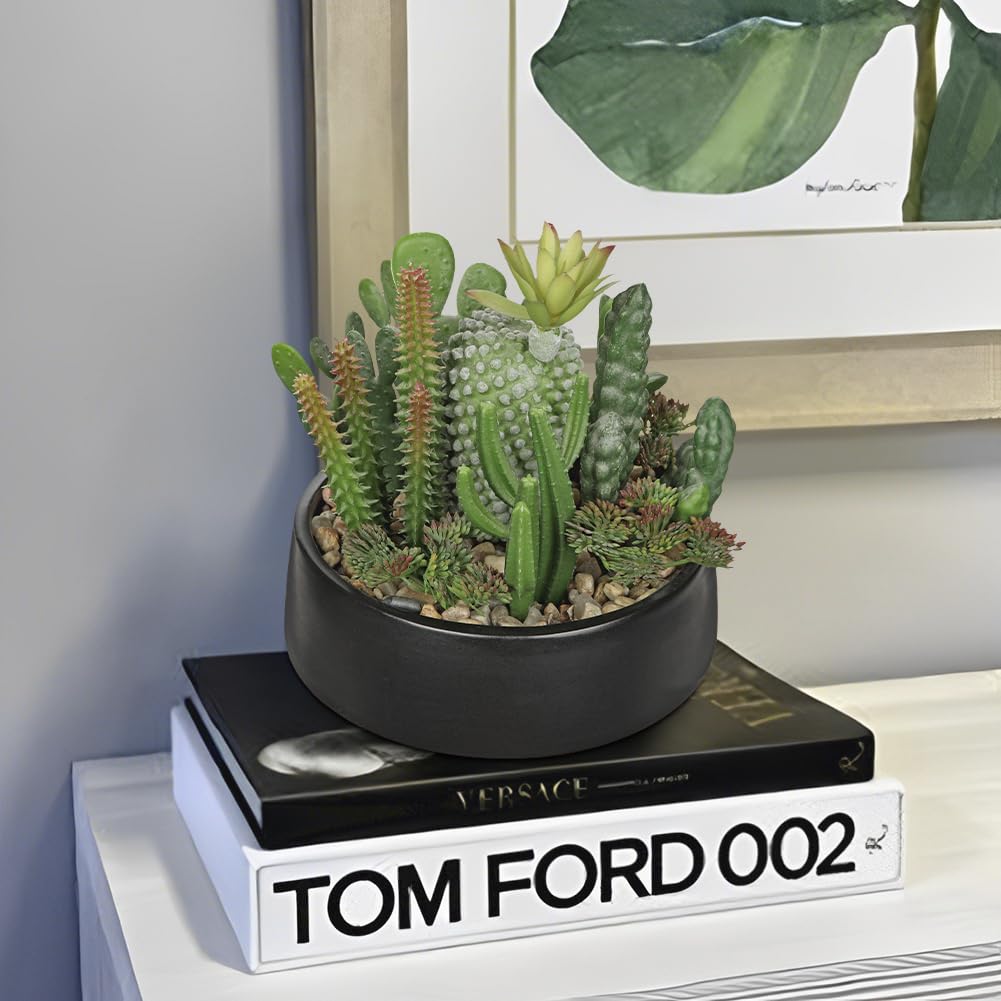 Artificial Cactus Plants in Pot 5.5 Inch Fake Succulents Arrangement Potted Plant in Black Ceramic Planter Bowl Desk