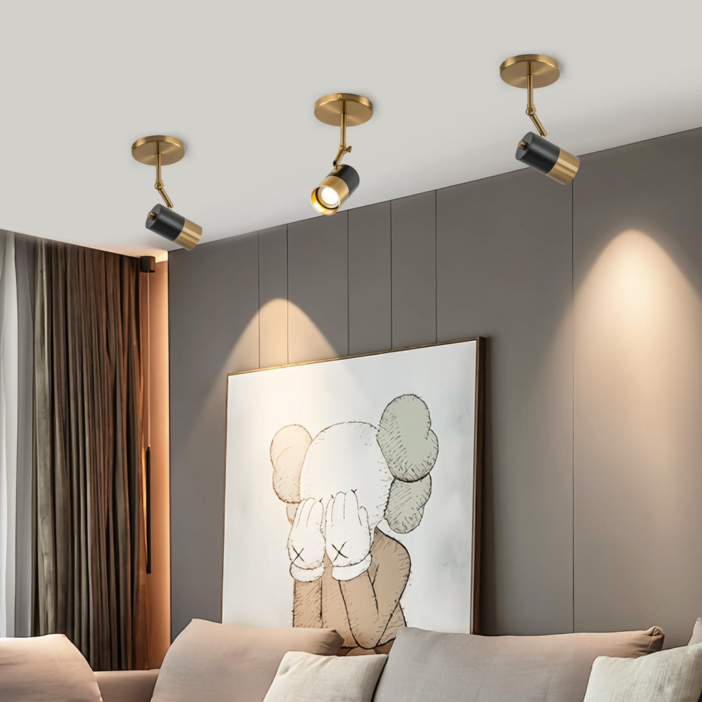 Modern Ceiling Spotlight, Gu10 Spot Lights Indoor with 350° Pivoting, 2-Packs Adjustable Directional Spotlight