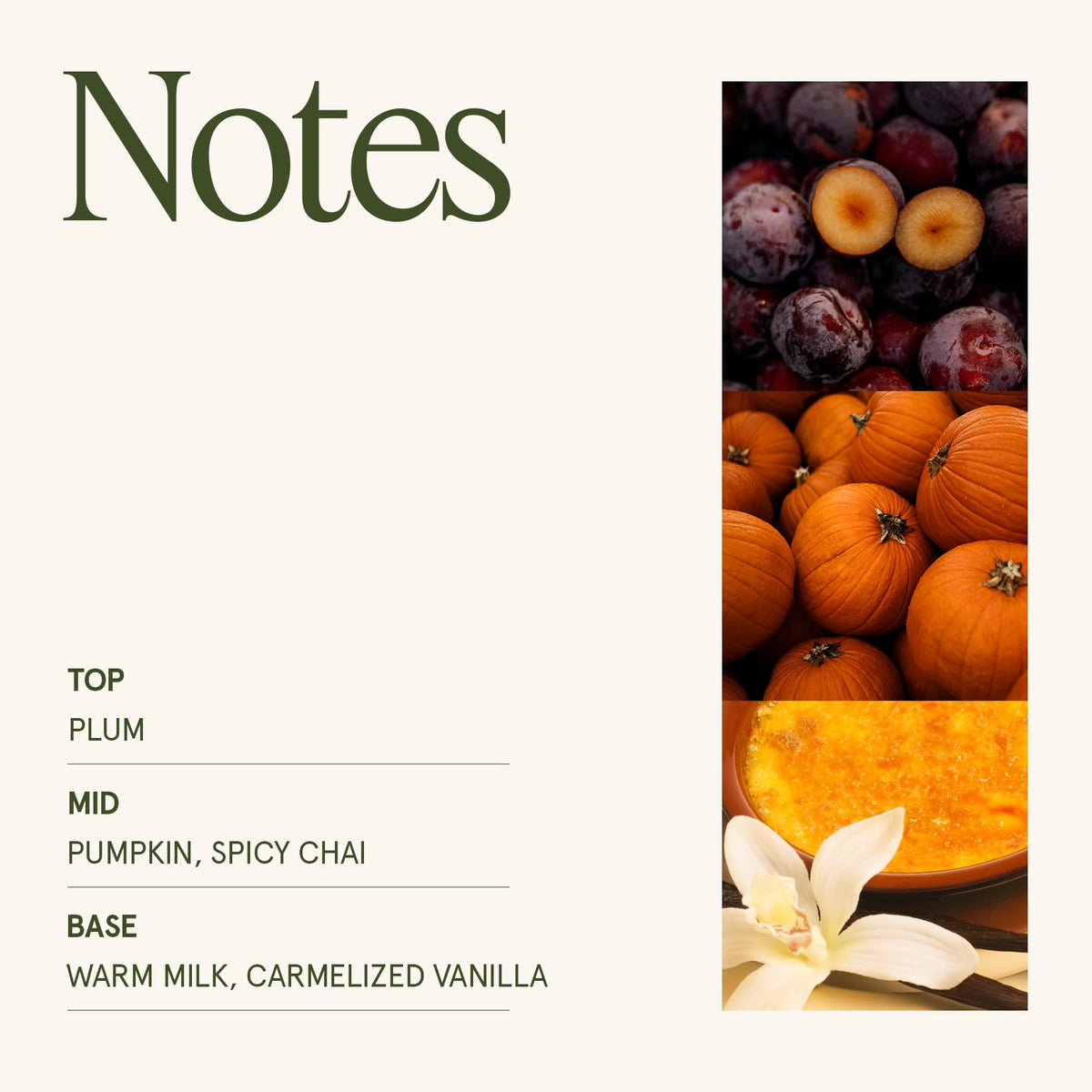 Pumpkin Chai Scented Candles, 19 oz Natural Soy Wax