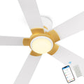52" Smart Flush Mount Ceiling Fan with Light & Remote