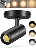 Zoomable Ceiling Spot Lights Indoor, 10W 1000lm Black