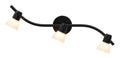 3 Light Modern Black Curved Track Ceiling Light
