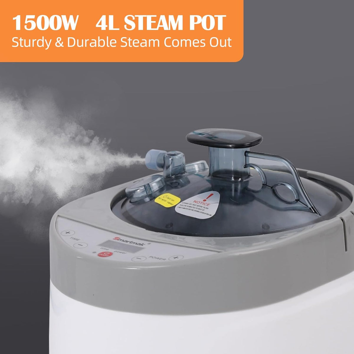 Smartmak Sauna Steamer, Portable 4L Upgrated Steam Pot Generator with Remote Control