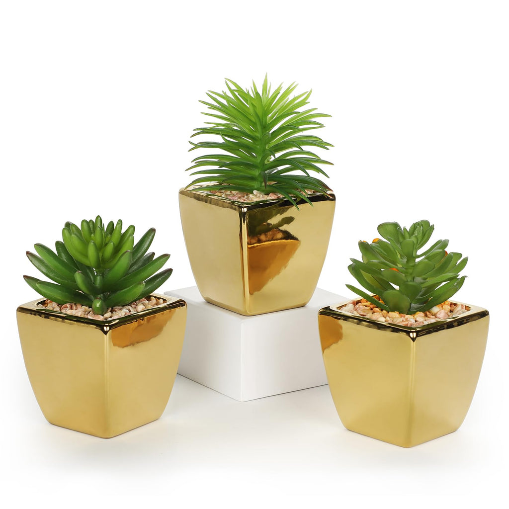 Small Succulents Artificial 3 Pcs Faux Succulents with Gold Pots Mini Fake Succulent Plants Indoor Plant Ceramic Pots