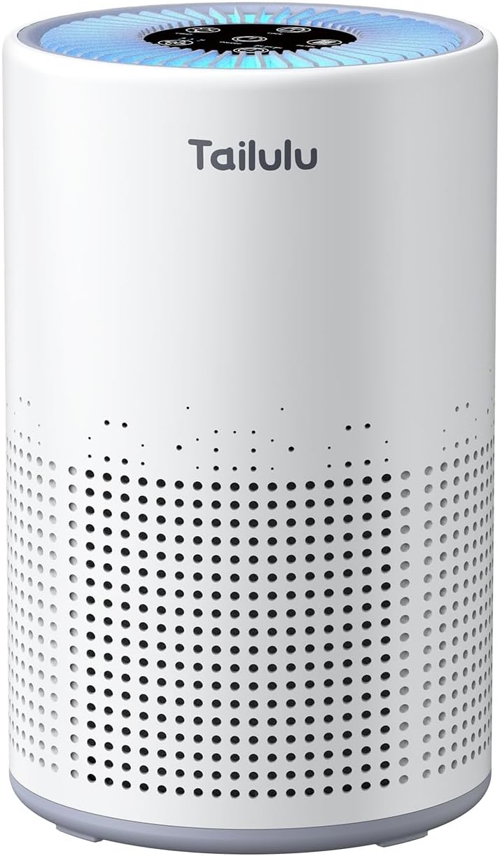 Air Purifiers for Bedroom Home Pets 1200 Ft², H13 True HEPA Air Filter Portable Air Purifier with 12dB Sleep Mode