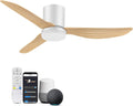 42" Smart Flush Mount Ceiling Fan with Light & Remote