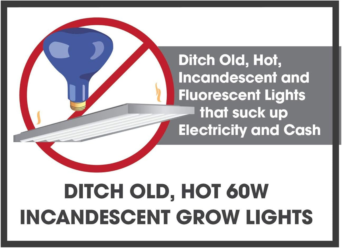 Tight Focus LED Red & Blue Spectrum Daylight Single Plant Growing Bulb 6W Replacing 75W Incandescent Grow Light