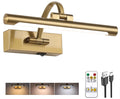 Rechargeable Picture Light with Remote Control,12 Inch Brass Finish Adjustable Wireless Art Lighting Fixture,Painting