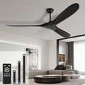 72" Black Indoor/Outdoor Ceiling Fan, No Light