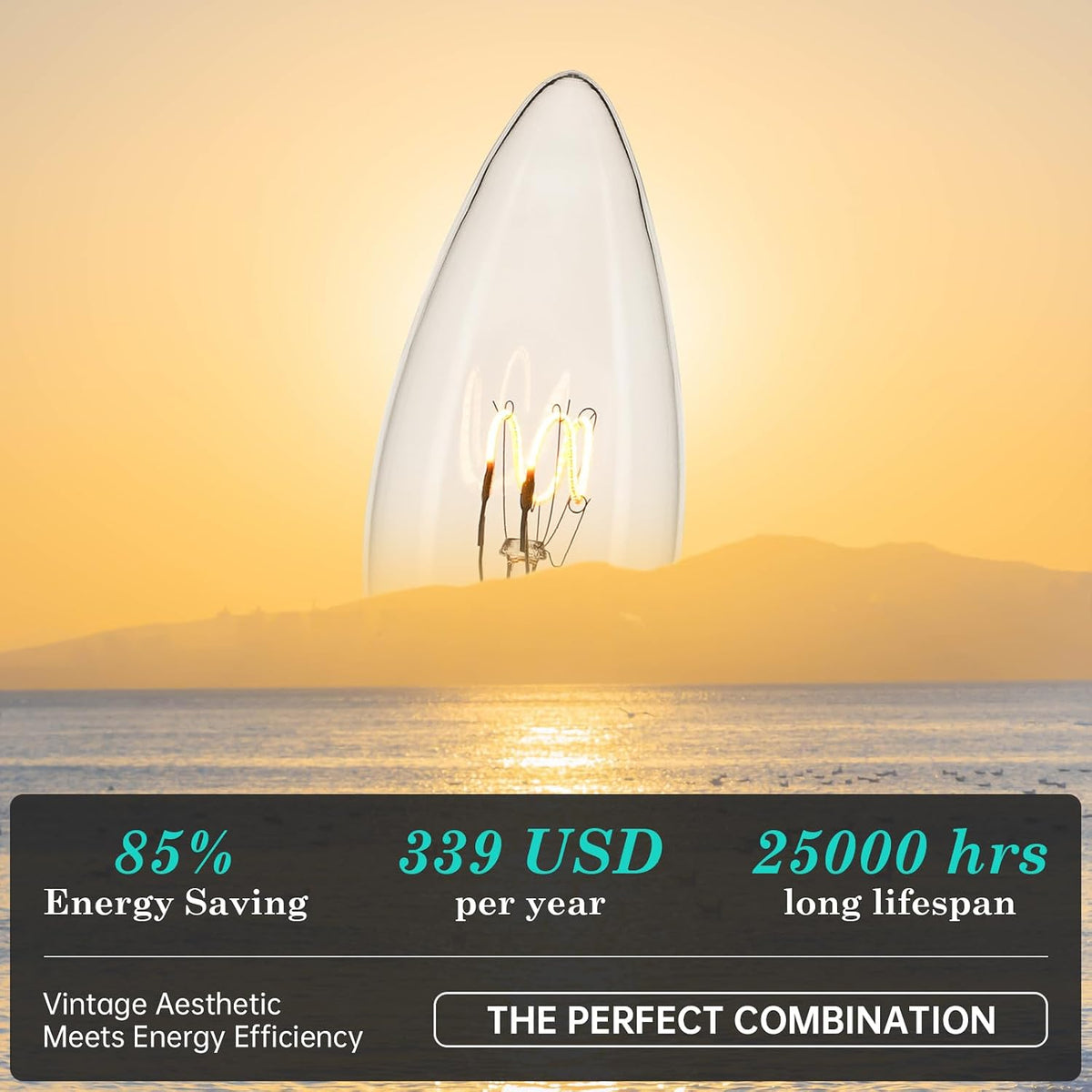 E12 CA10 25 Watt Equivalent Clear LED Candelabra Bulbs,2700K Dimmable