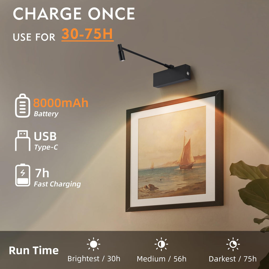 Picture Light for Wall with Adjustable LED Beam, Wireless 8000mAh Rechargeable Art Light with Remote, Battery
