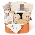 Baby Gift Set for Newborn - 11PCS Baby Shower Gifts Basket with Baby Blanket Baby Rattle, Wooden Keepsake Milestone