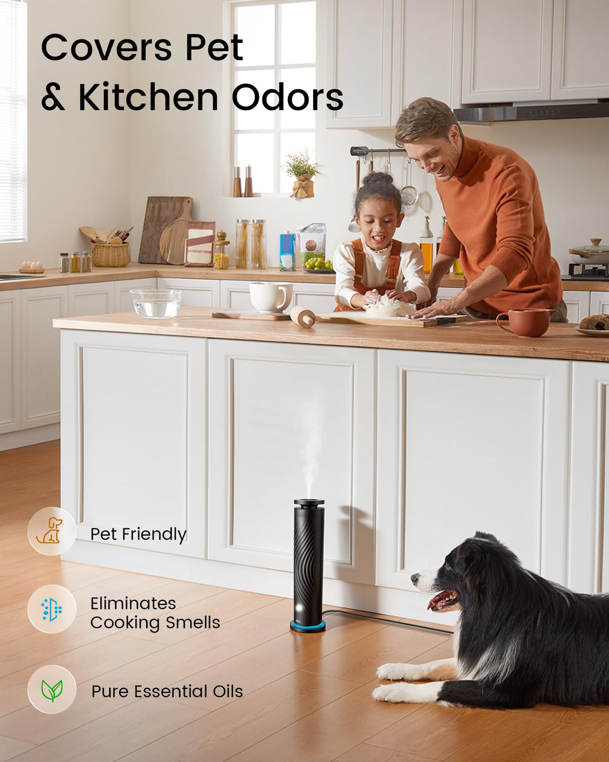 Waterless Essential Oil Diffuser, Starter Kit with 5 Oils