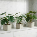 3‐Pack Small Artificial Potted Plants, Mini Fake Plants for Desk Shelf